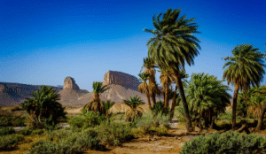 Desert oasis stop during the Morocco Desert Circuit trek