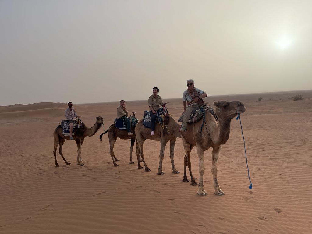 Camel caravan crossing dunes on the Morocco Desert Circuit trek erg chigaga