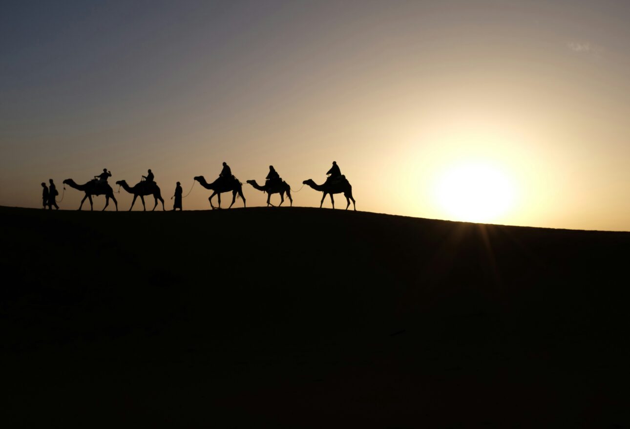 silhouette of people riding on camels