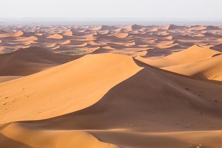 desert morocco