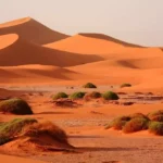 Morocco’s Desert