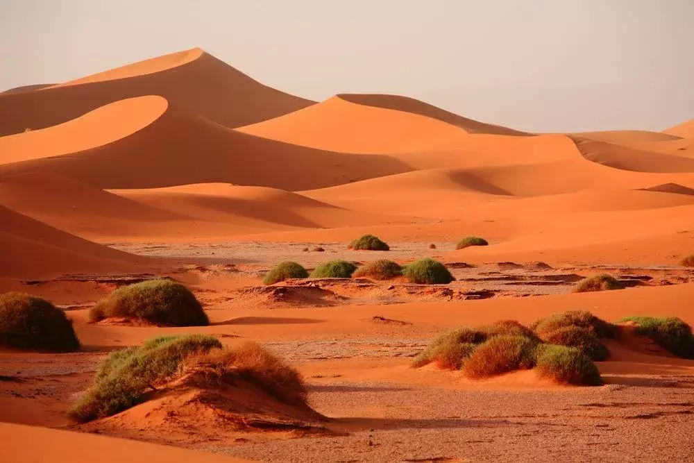 Morocco’s Desert